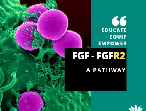 Cholangiocarcinoma and FGFR2