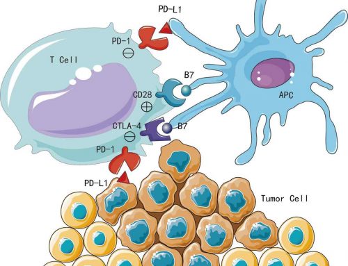 Treat the Immune not the Cancer